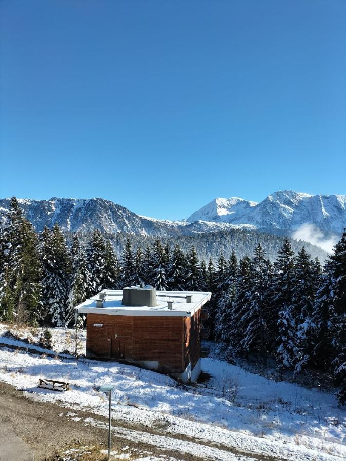 Appartement Le Sorbier A Chamrousse 3 Pieces 6 Personnes Aux Pieds Des Pistes Экстерьер фото