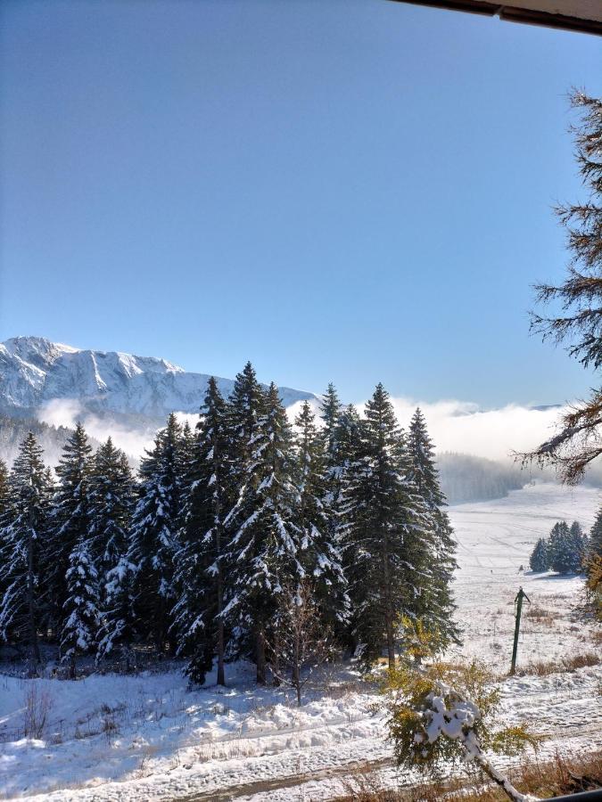 Appartement Le Sorbier A Chamrousse 3 Pieces 6 Personnes Aux Pieds Des Pistes Экстерьер фото